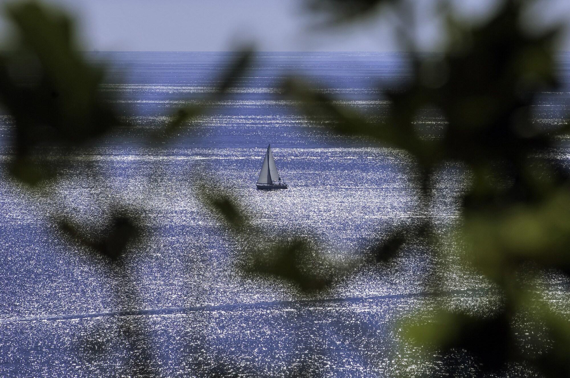 Rivalmare Beach Boutique Hotel - New! Novigrad (Istria) Exterior foto